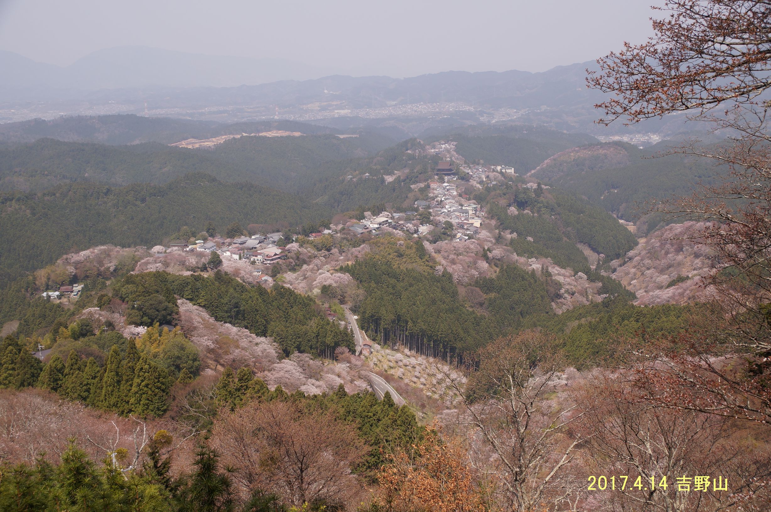 2017.4.14 yoshinoyama